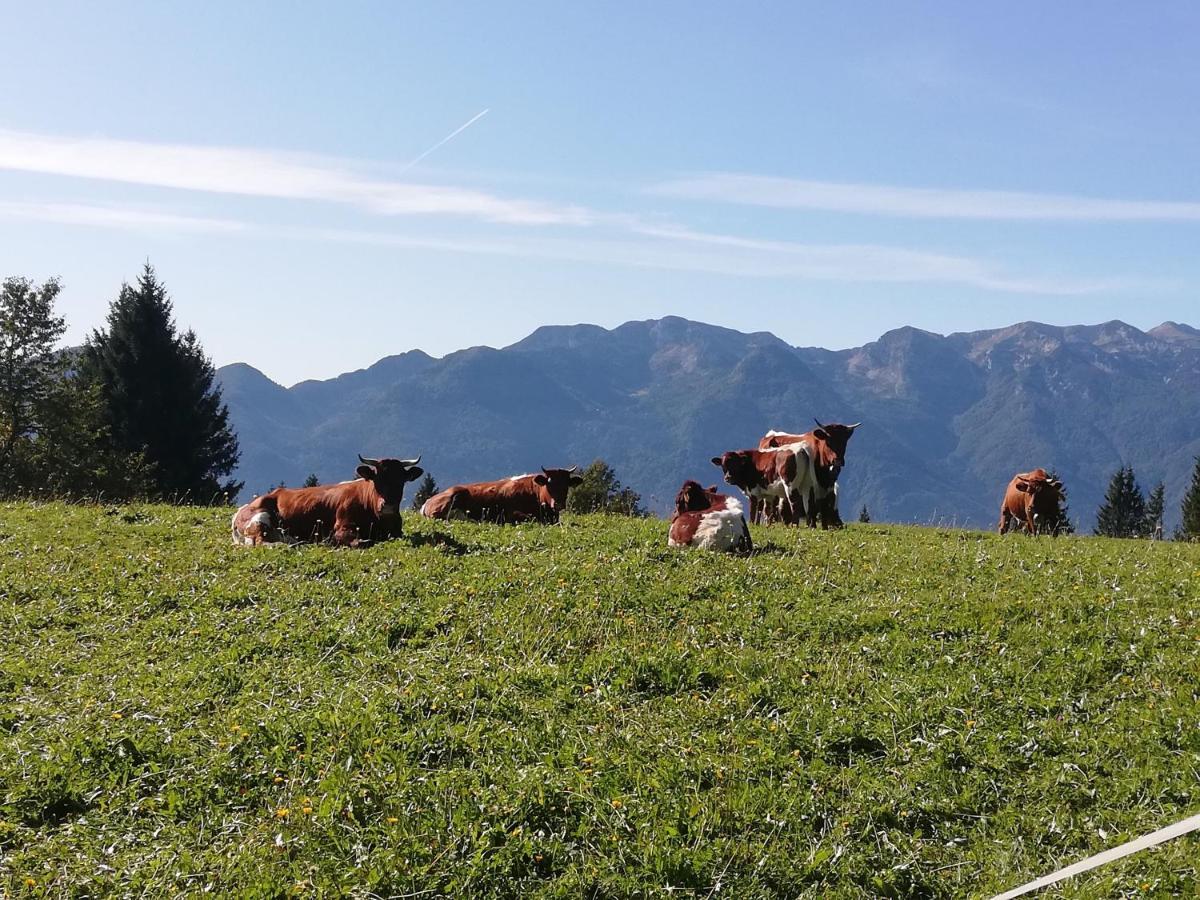 Brunarica Na Goreljeku Apartment Bohinj Luaran gambar