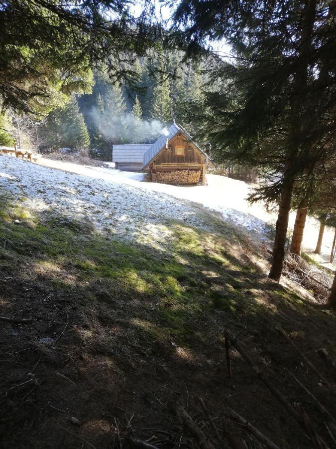Brunarica Na Goreljeku Bohinj Luaran gambar