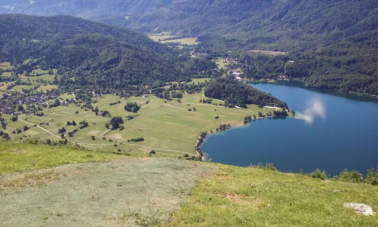 Brunarica Na Goreljeku Apartment Bohinj Luaran gambar