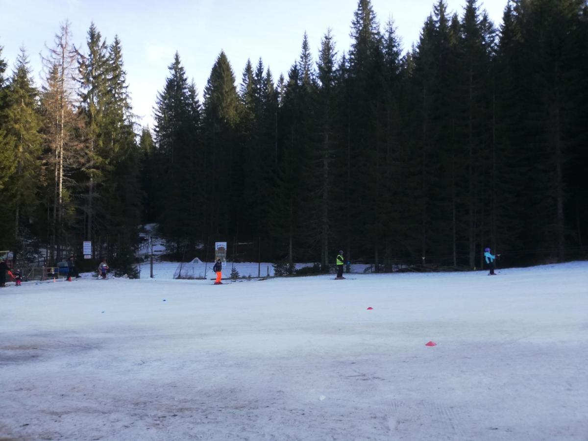 Brunarica Na Goreljeku Bohinj Luaran gambar
