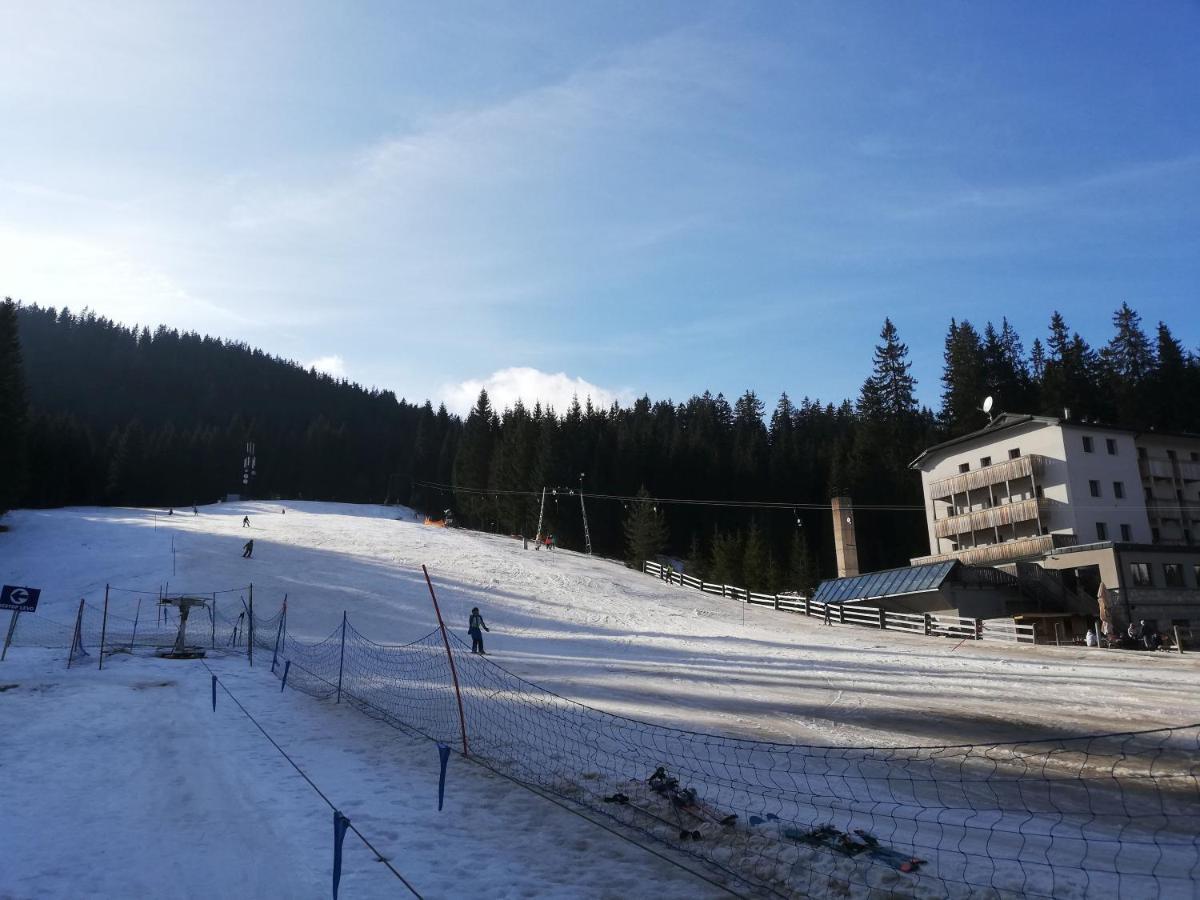 Brunarica Na Goreljeku Bohinj Luaran gambar