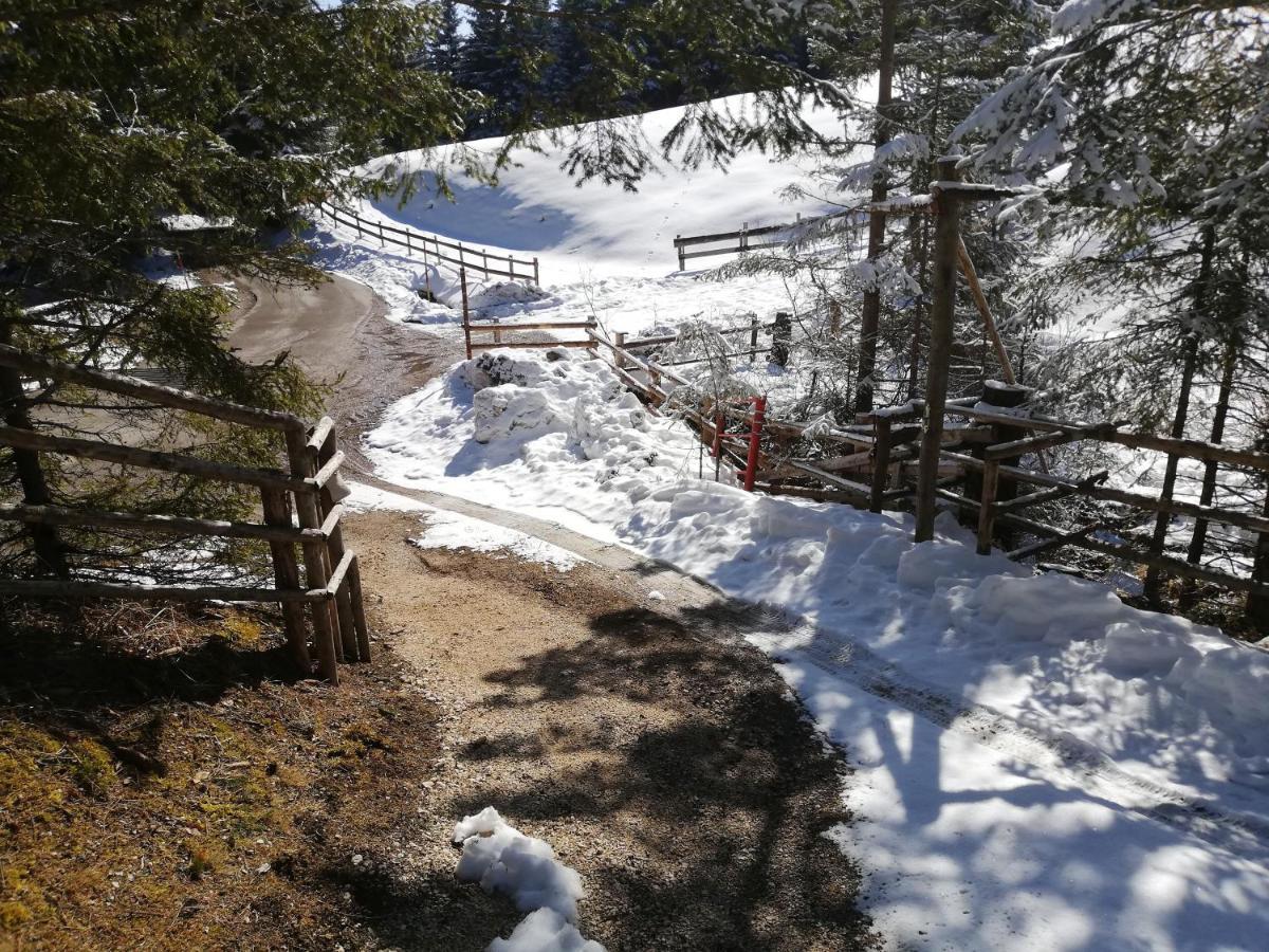 Brunarica Na Goreljeku Bohinj Luaran gambar