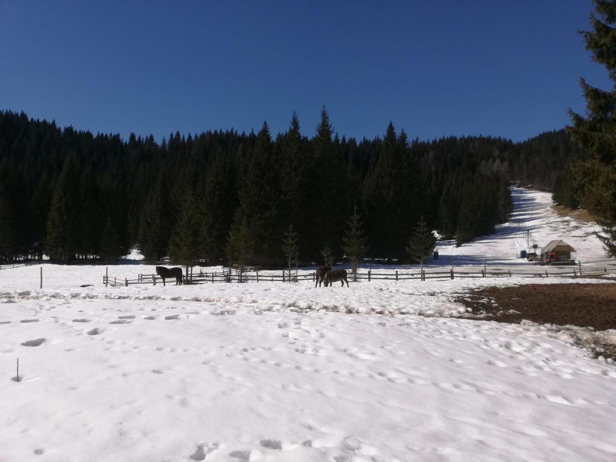 Brunarica Na Goreljeku Bohinj Luaran gambar