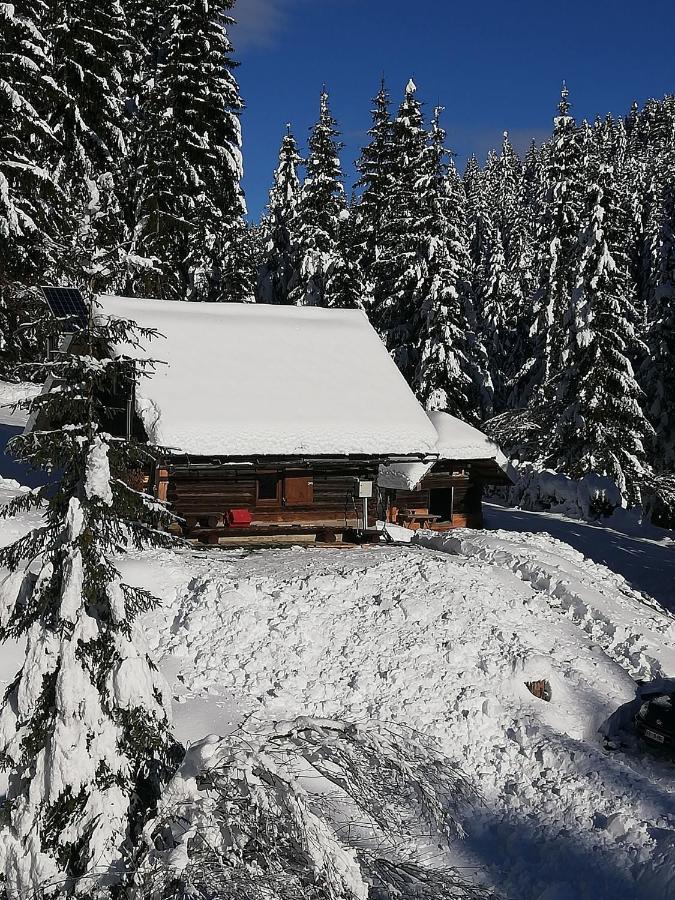 Brunarica Na Goreljeku Bohinj Luaran gambar
