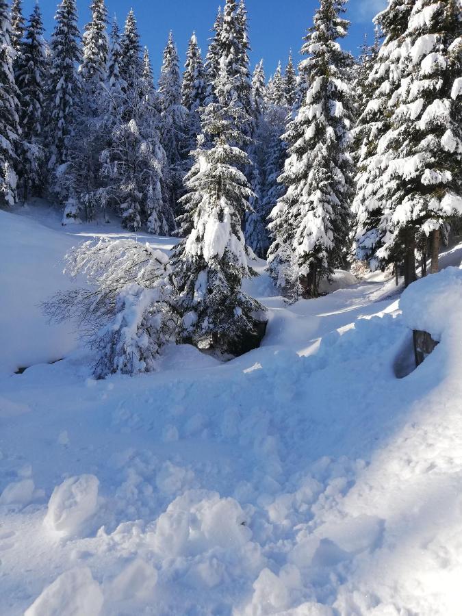 Brunarica Na Goreljeku Apartment Bohinj Luaran gambar