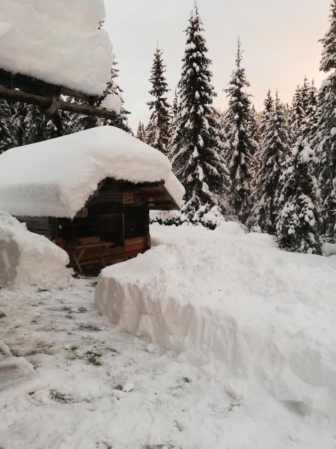 Brunarica Na Goreljeku Apartment Bohinj Luaran gambar