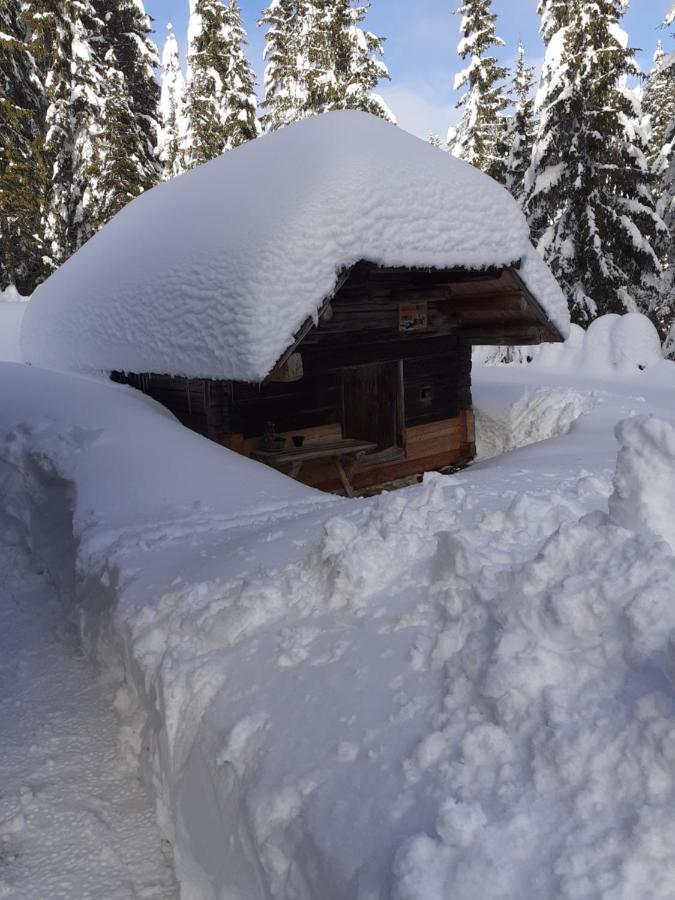 Brunarica Na Goreljeku Apartment Bohinj Luaran gambar