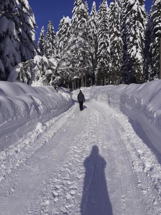 Brunarica Na Goreljeku Bohinj Luaran gambar