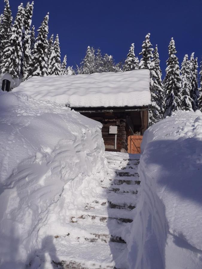 Brunarica Na Goreljeku Apartment Bohinj Luaran gambar