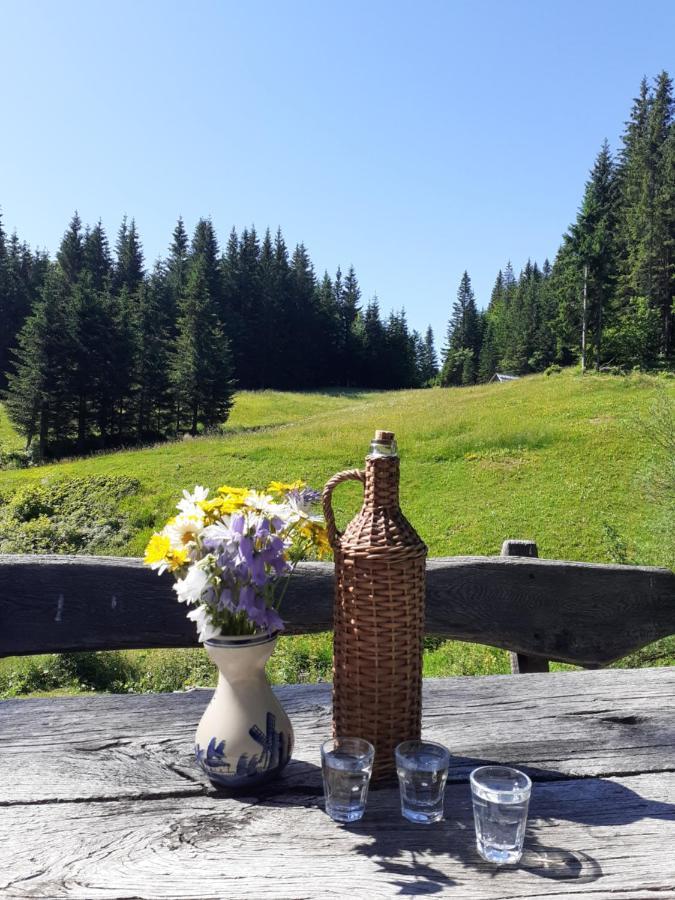 Brunarica Na Goreljeku Apartment Bohinj Luaran gambar