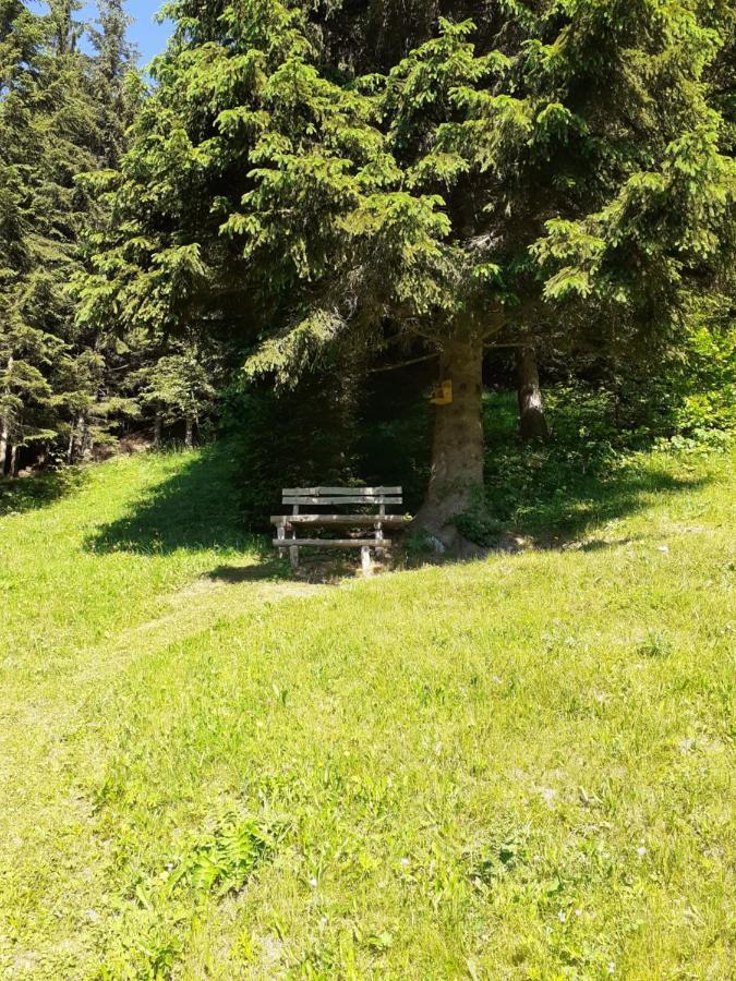 Brunarica Na Goreljeku Bohinj Luaran gambar