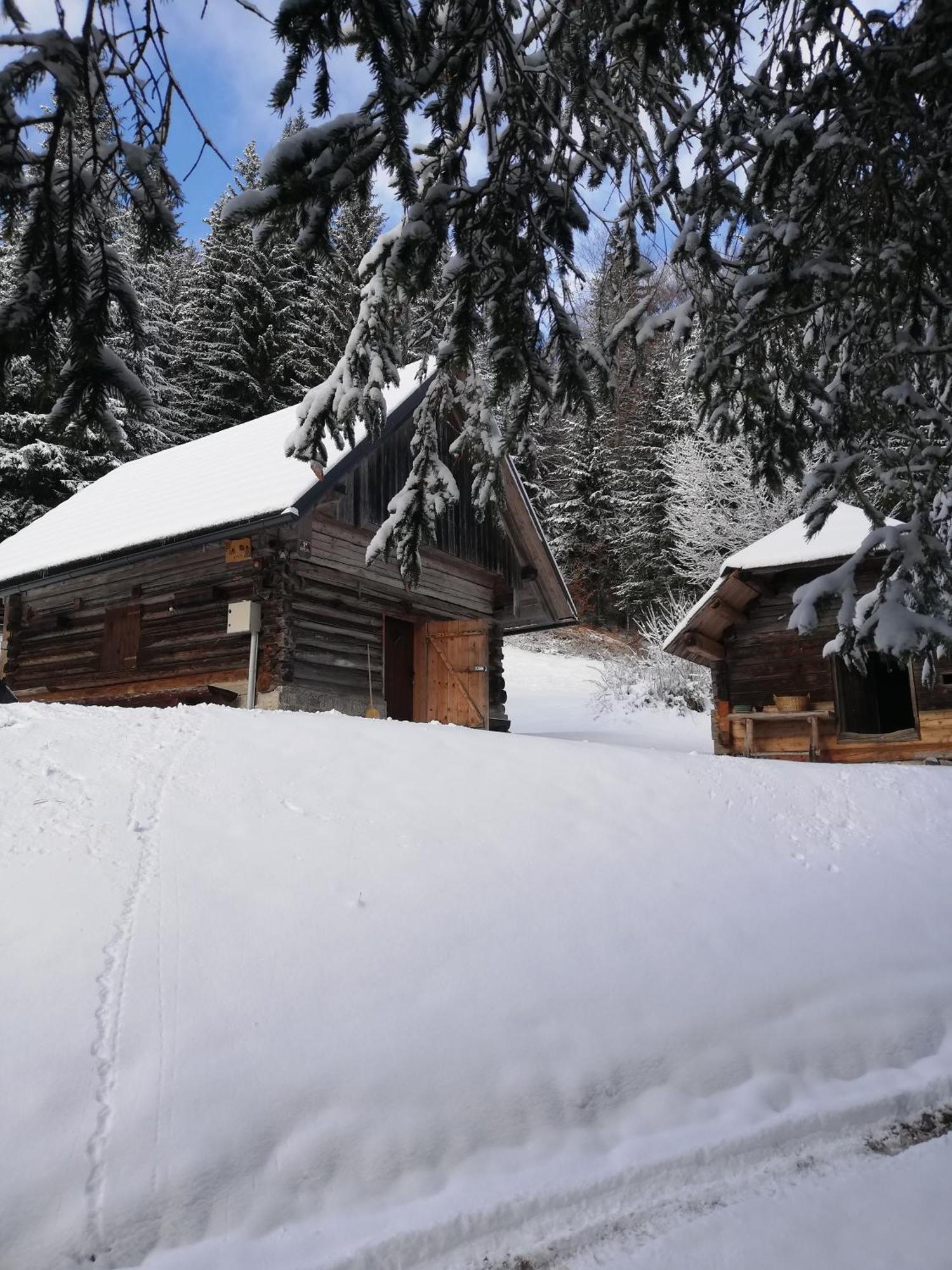 Brunarica Na Goreljeku Bohinj Luaran gambar