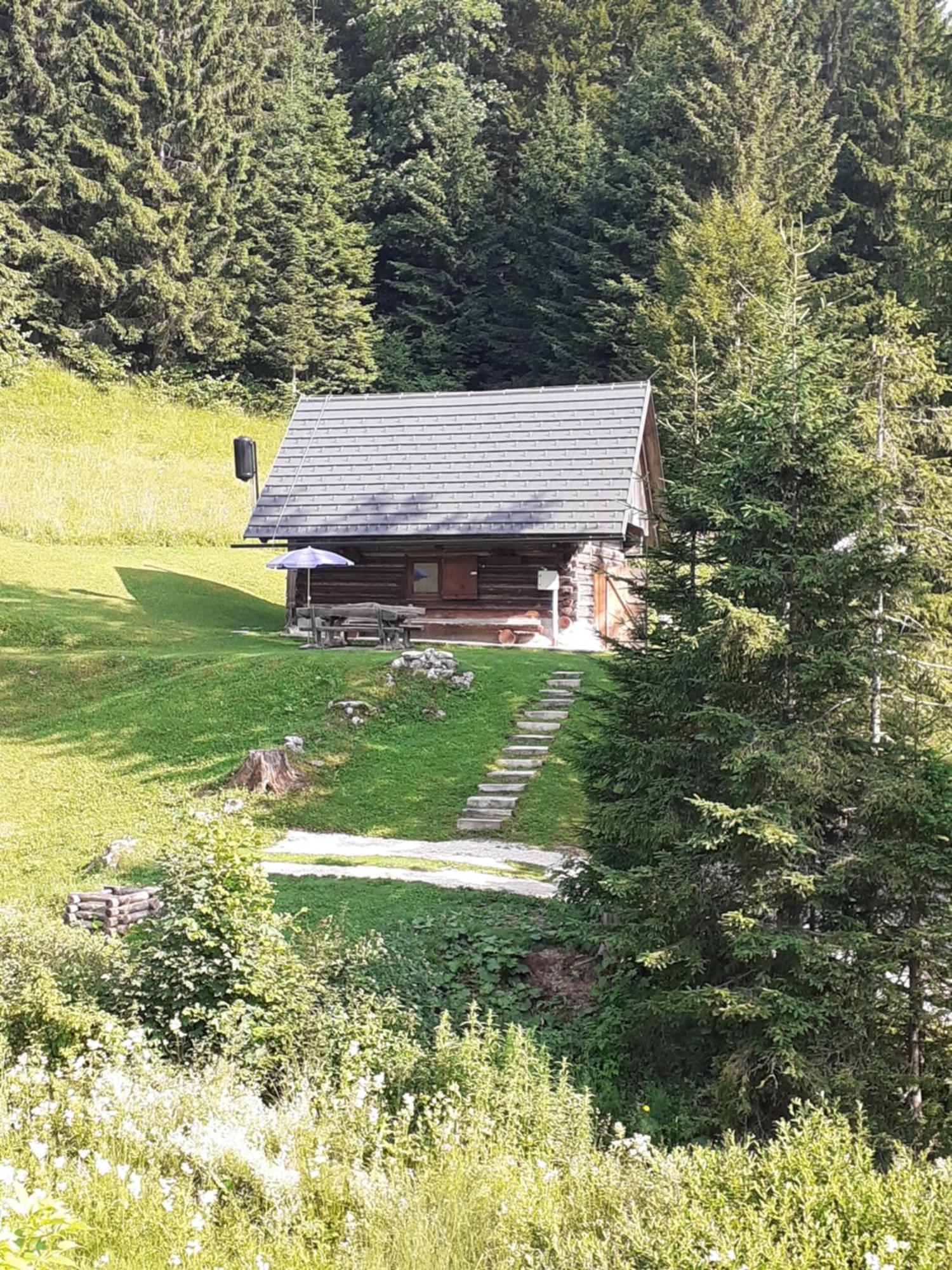 Brunarica Na Goreljeku Bohinj Luaran gambar