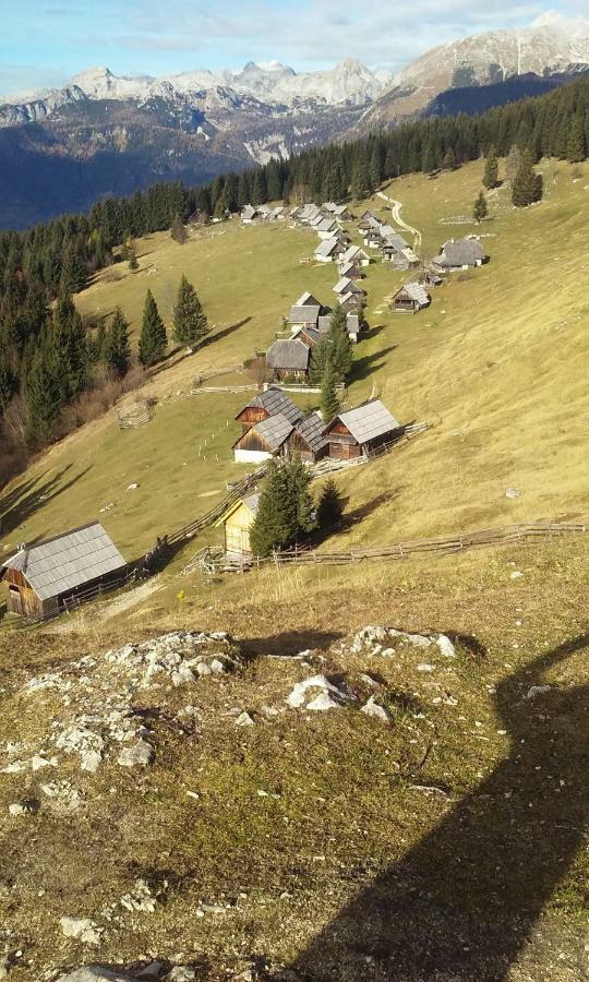 Brunarica Na Goreljeku Bohinj Luaran gambar